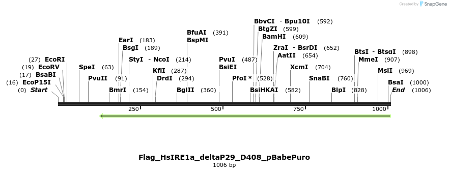 95644_map