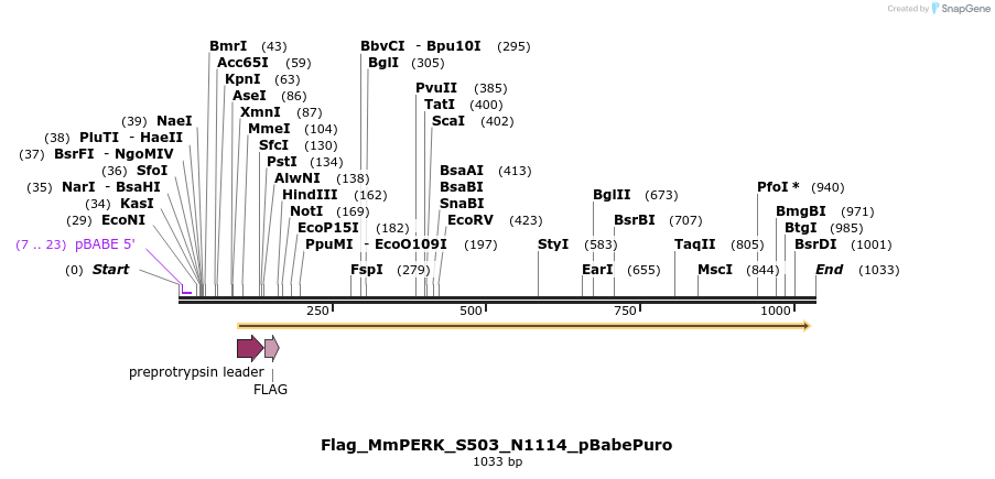 95645_map