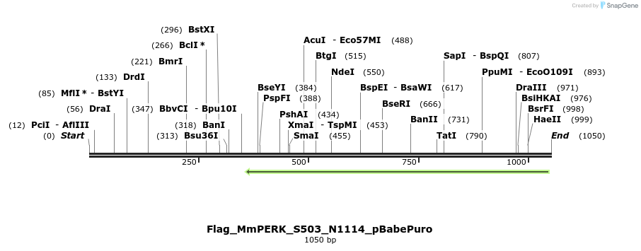 95646_map