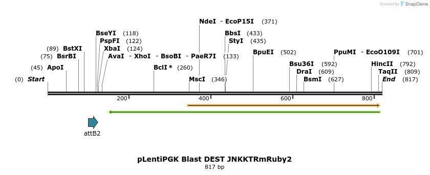 95650_map