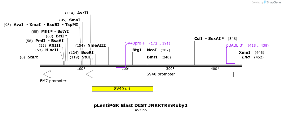 95651_map