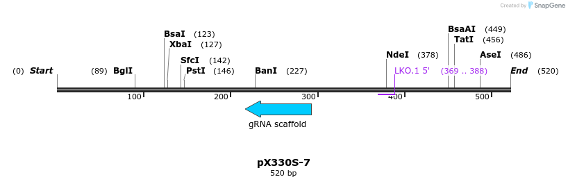 95655_map