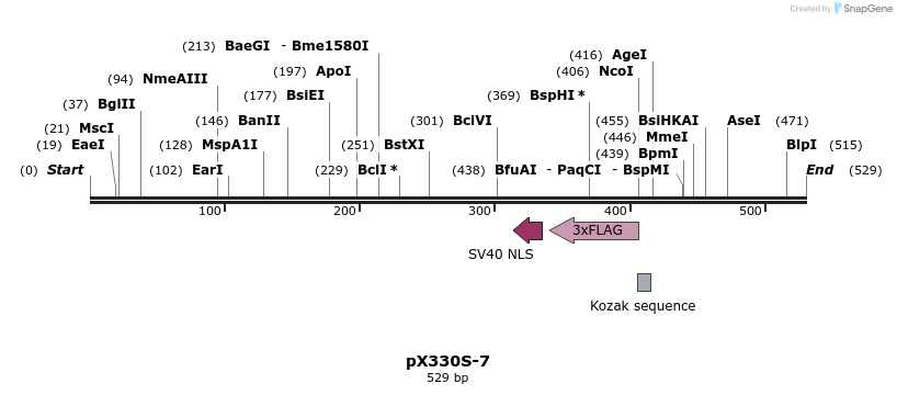 95656_map