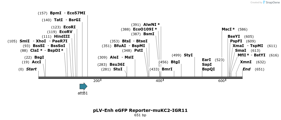 95659_map