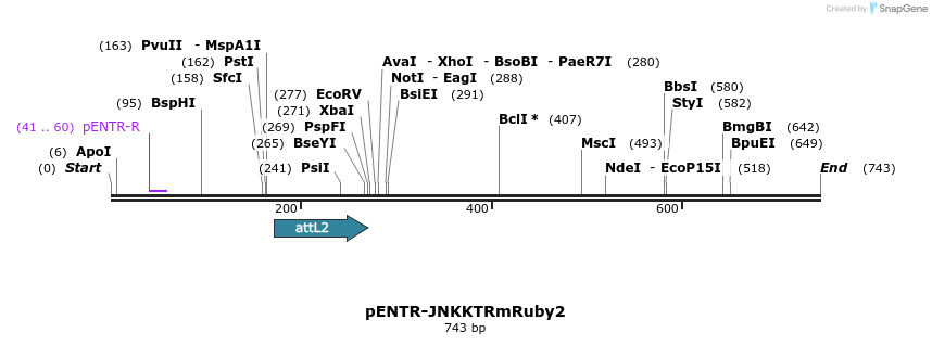 95662_map