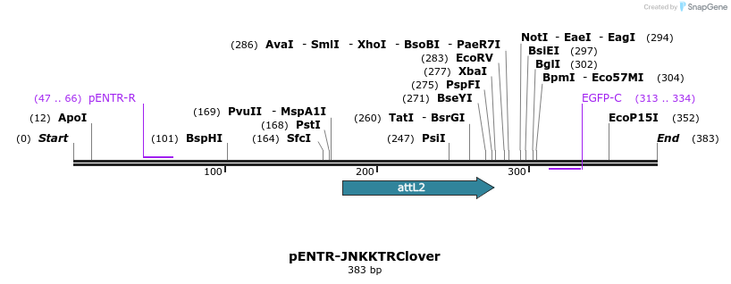 95664_map