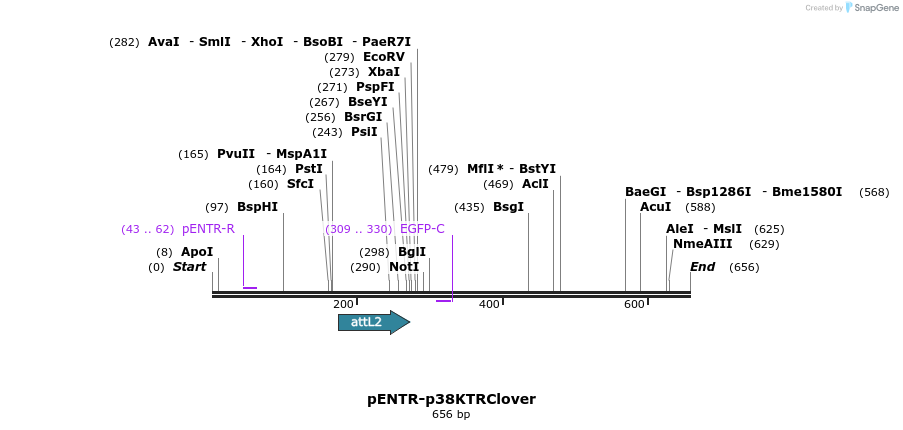 95667_map