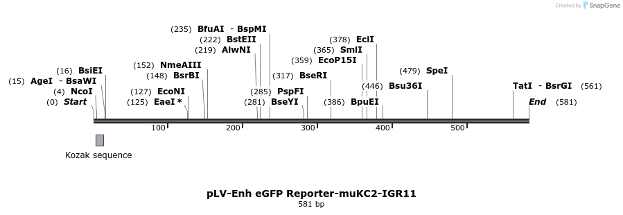 95674_map