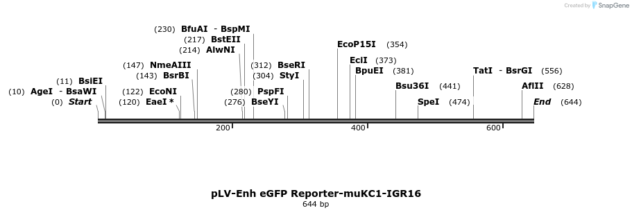 95678_map