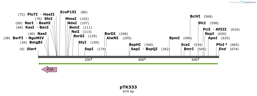 95680_map
