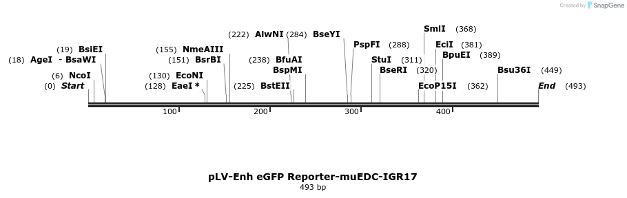 95681_map