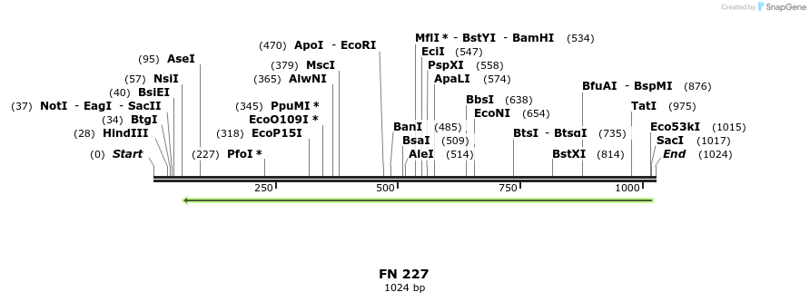 95683_map