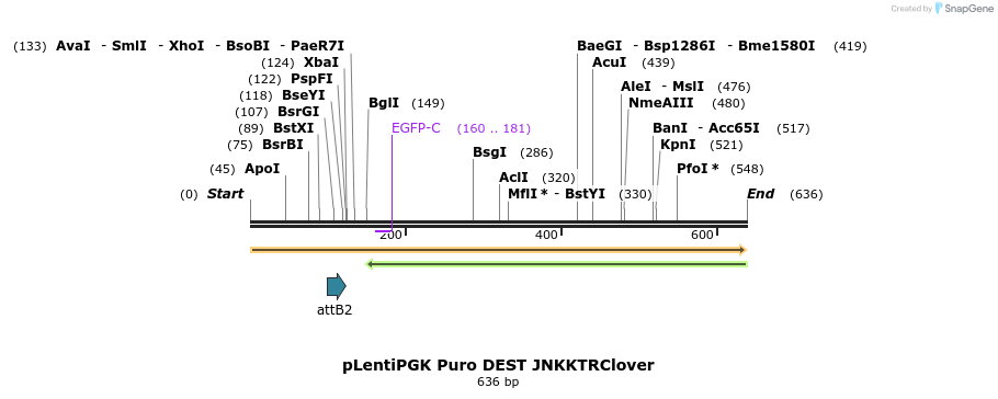 95685_map