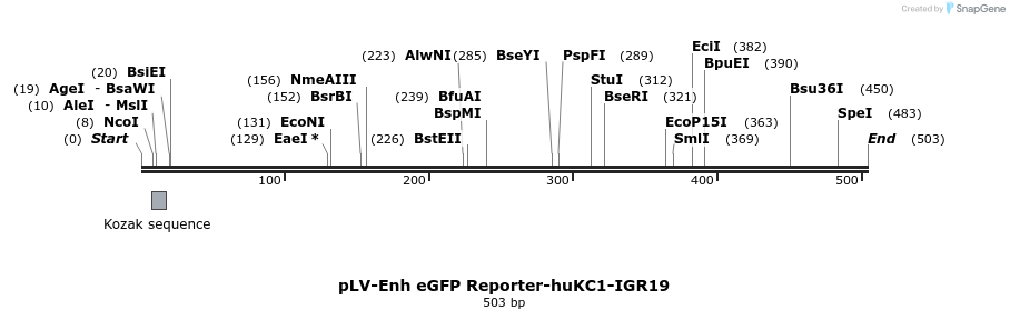95686_map