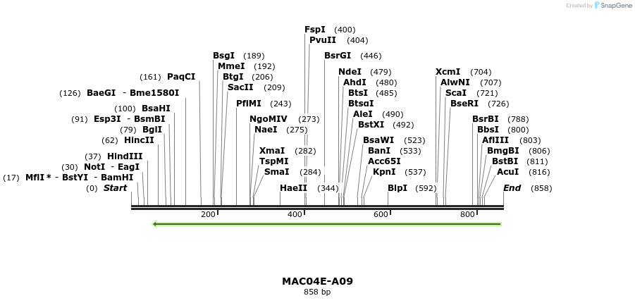 95687_map