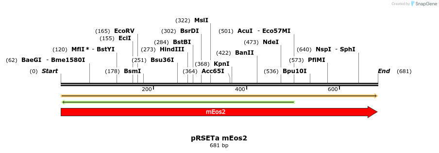 9569_map