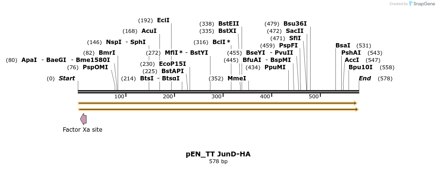 95690_map