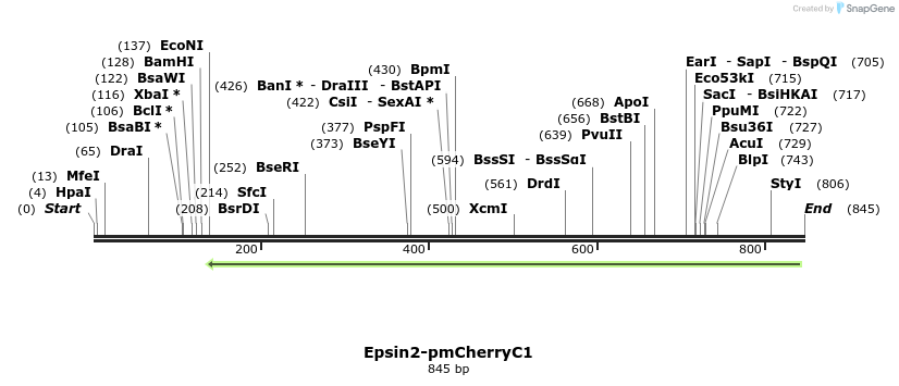 95691_map