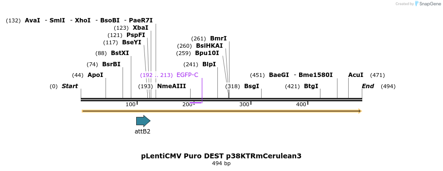 95692_map