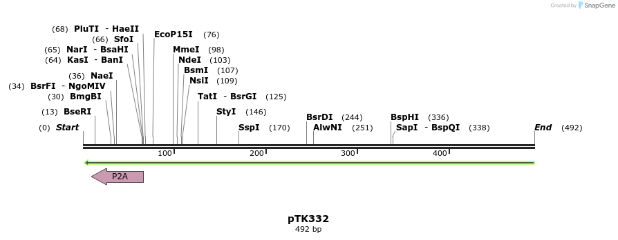 95696_map