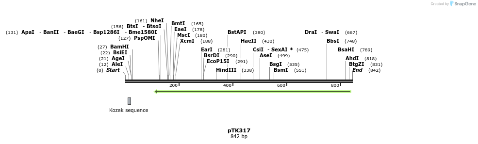 95701_map