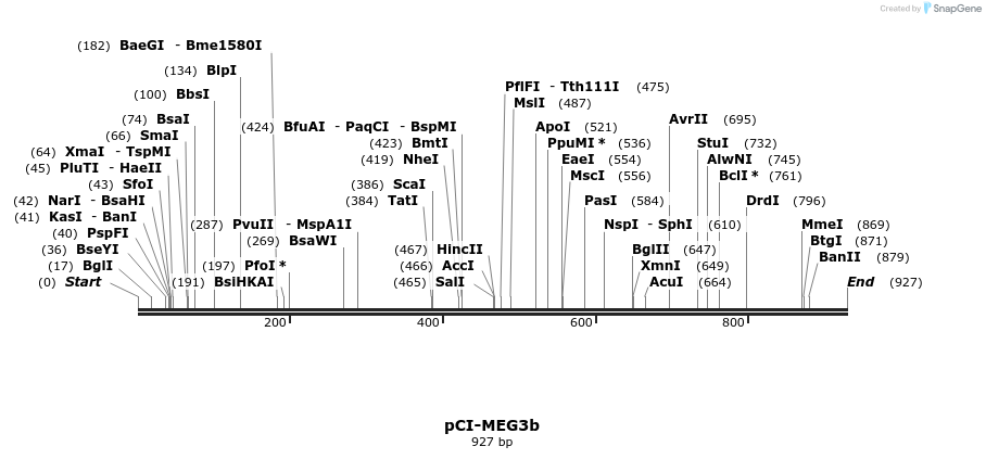95706_map