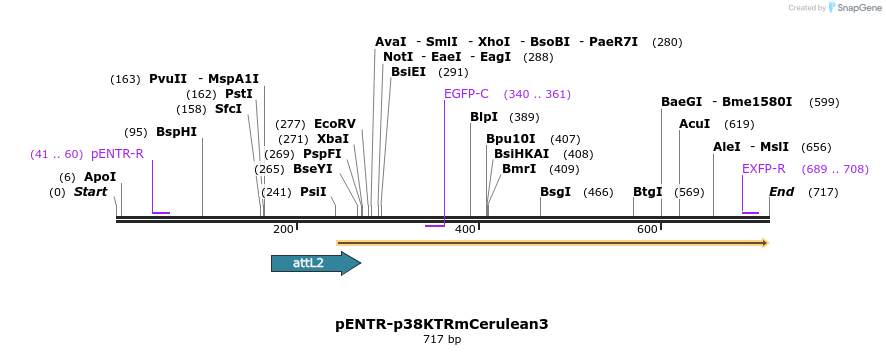 95707_map