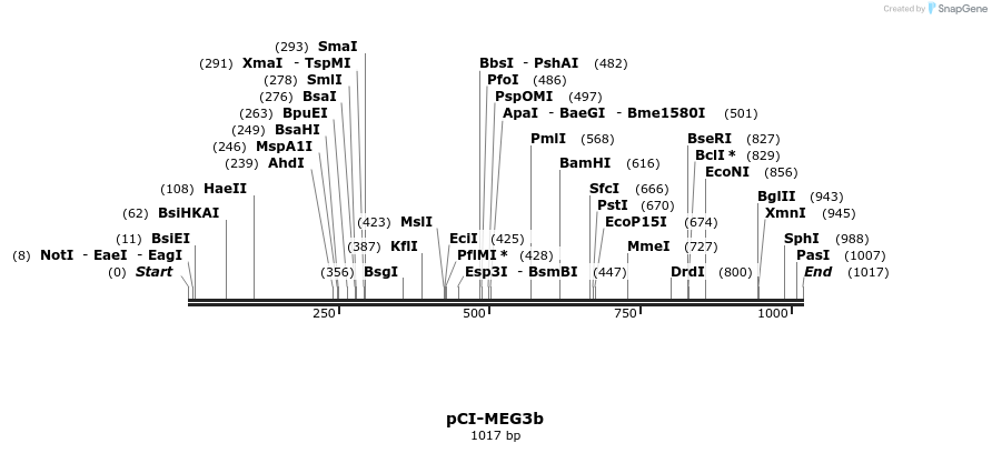 95708_map