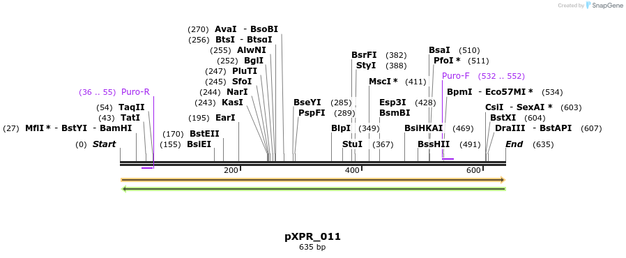 95710_map
