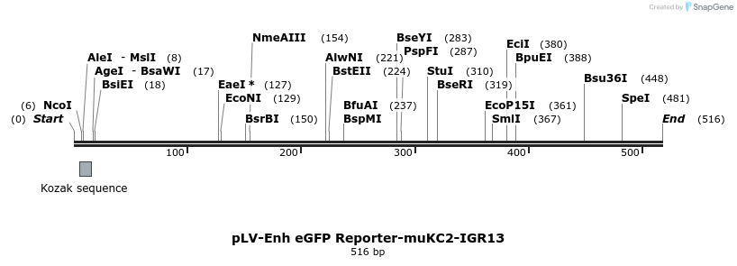 95712_map