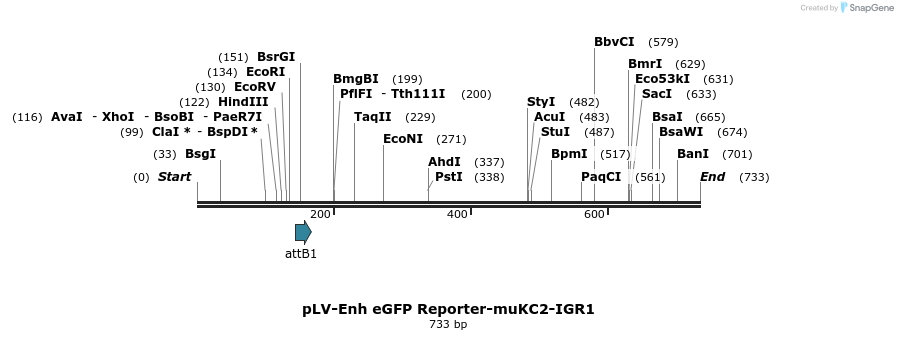 95713_map