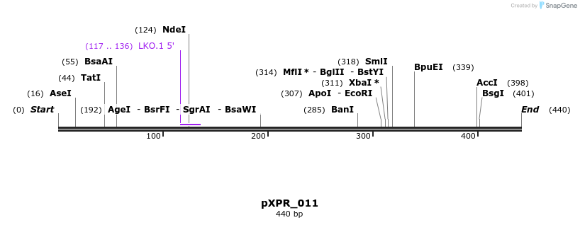 95714_map