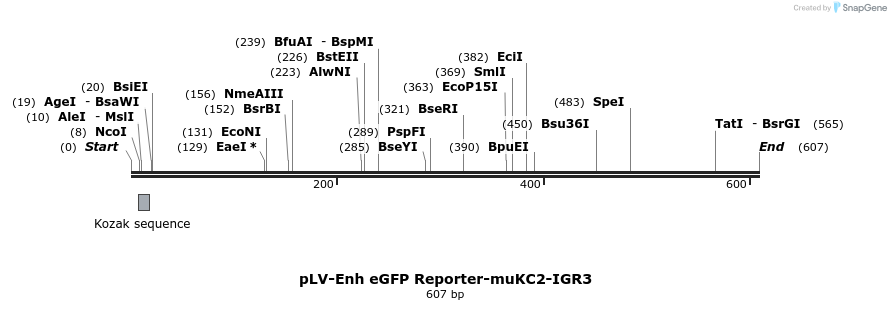 95717_map