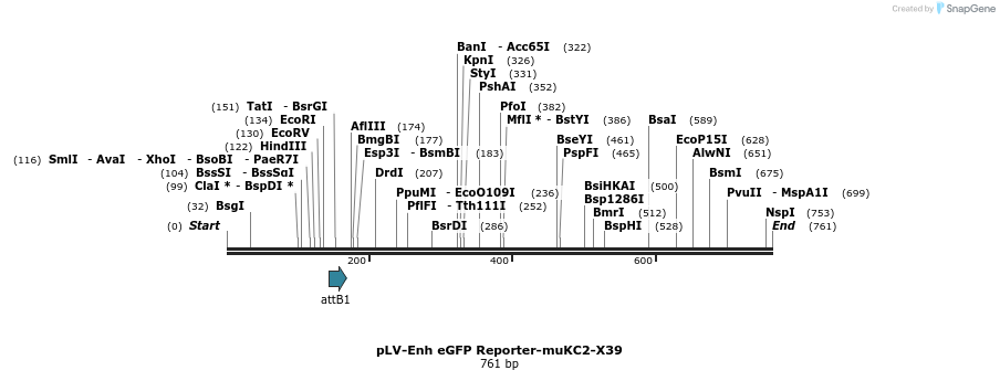 95719_map