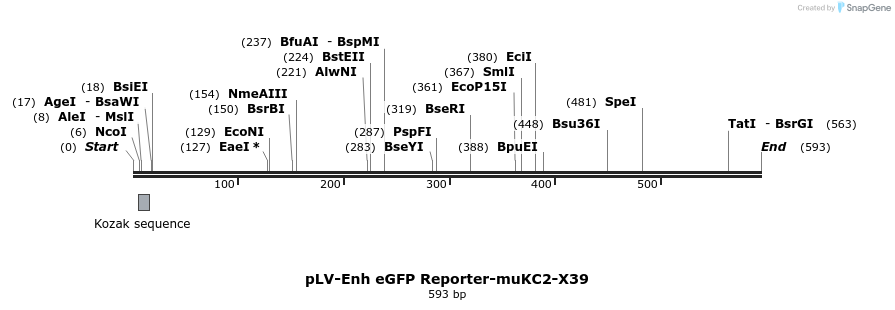 95721_map
