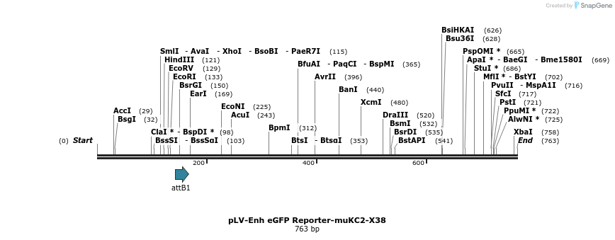 95723_map