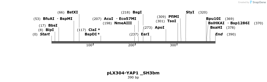 95725_map