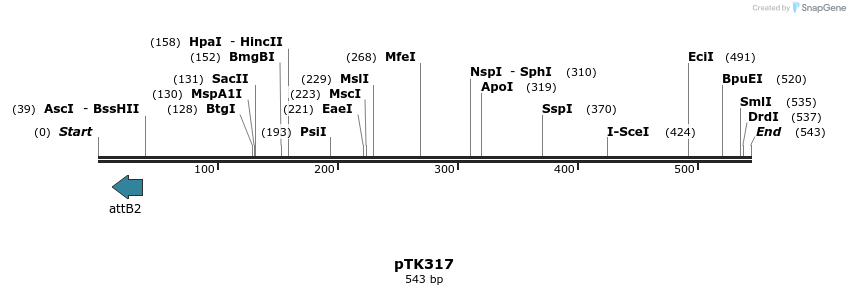 95727_map