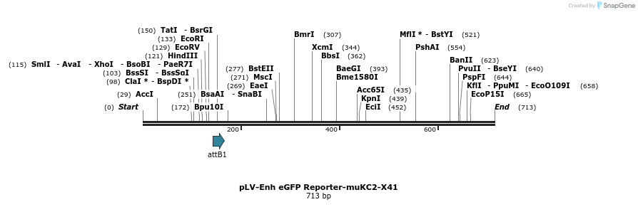 95728_map