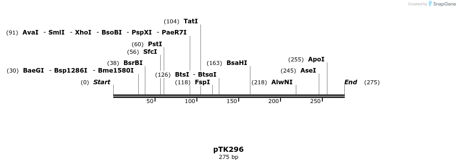 95729_map