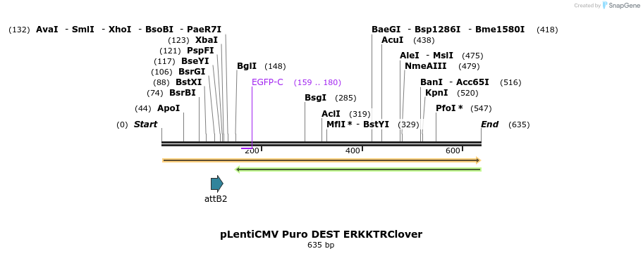 95730_map