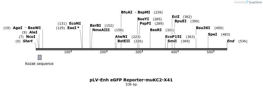 95731_map