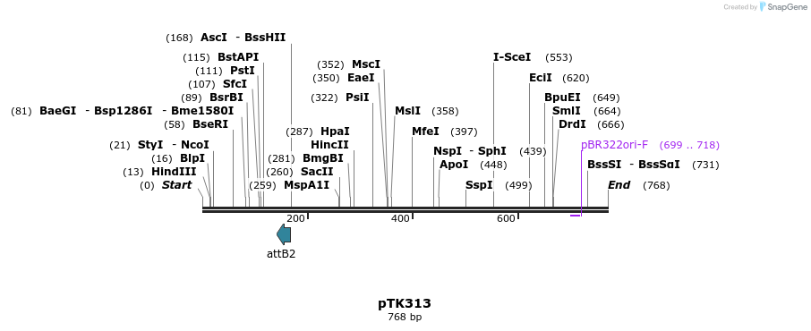 95733_map