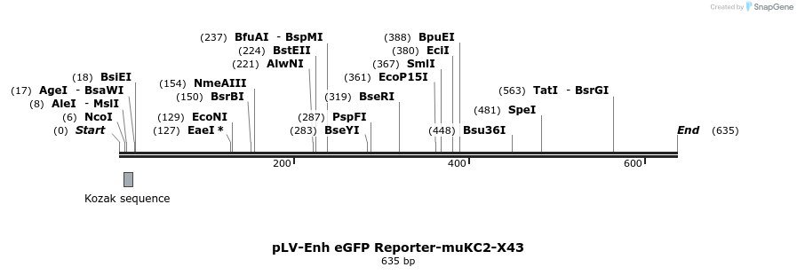 95740_map
