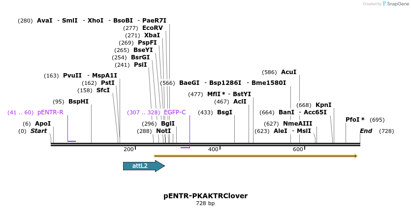 95741_map