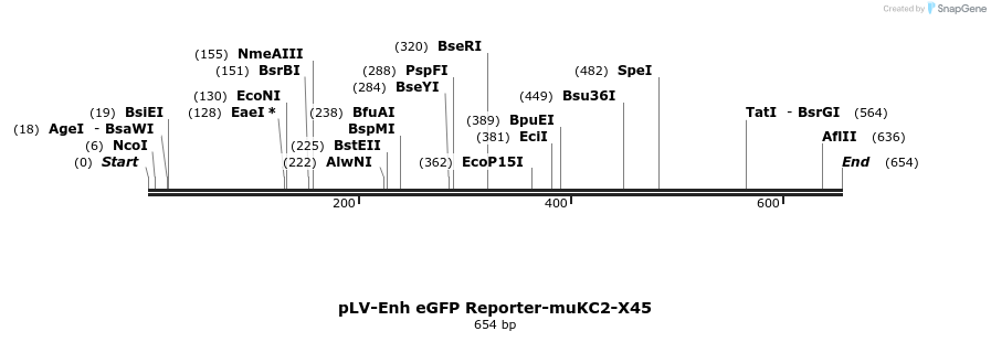 95745_map