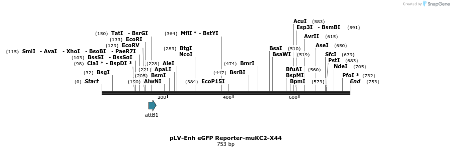 95747_map