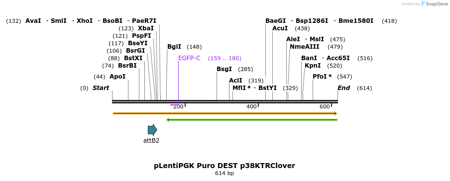 95748_map