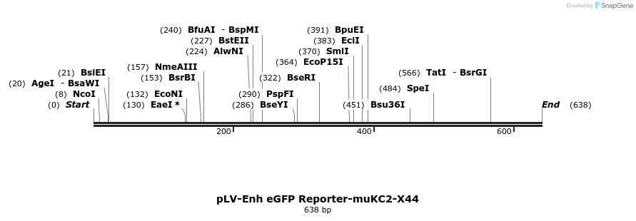95749_map