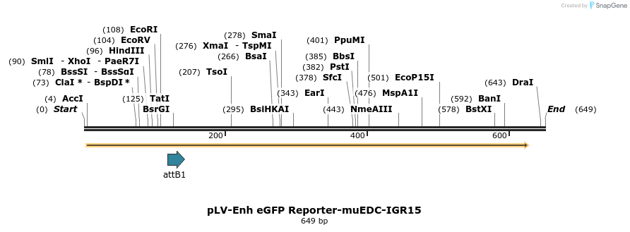 95750_map